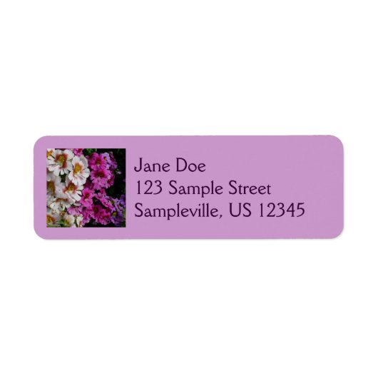 Schmetterlingsfliege Blume Weißrosa und Lila (Vorne)