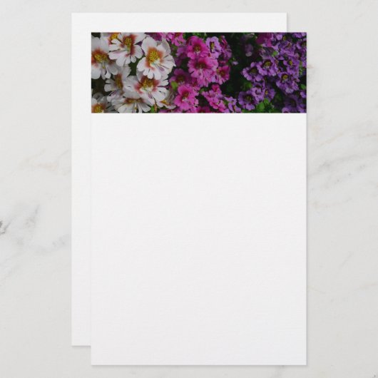 Schmetterlingsfliege Blume Weißrosa und Lila Briefpapier (Vorne/Hinten)