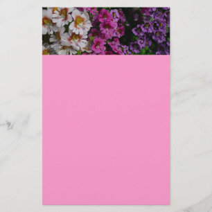 Schmetterlingsfliege Blume Weißrosa und Lila Briefpapier