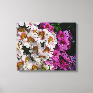 Schmetterlingsfliege Blume Weißrosa und Lila Leinwanddruck