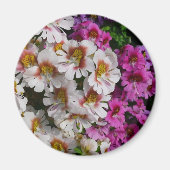 Schmetterlingsfliege Blume Weißrosa und Lila Magnet (Vorne)