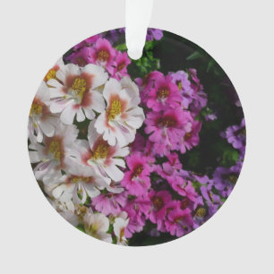 Schmetterlingsfliege Blume Weißrosa und Lila Ornament