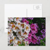 Schmetterlingsfliege Blume Weißrosa und Lila Postkarte (Vorne/Hinten)