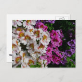 Schmetterlingsfliege Blume Weißrosa und Lila Postkarte (Vorne/Hinten)