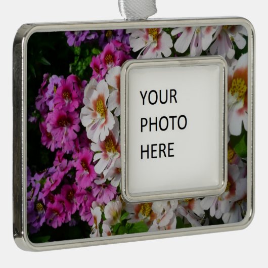 Schmetterlingsfliege Blume Weißrosa und Lila Rahmen-Ornament Silber (Rechts)