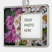 Schmetterlingsfliege Blume Weißrosa und Lila Rahmen-Ornament Silber (Links)