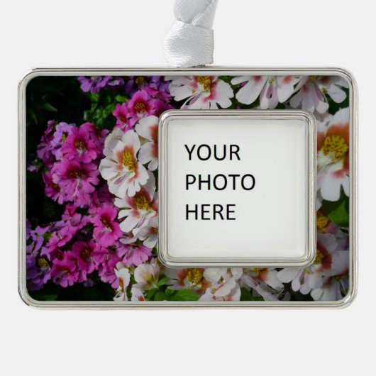 Schmetterlingsfliege Blume Weißrosa und Lila Rahmen-Ornament Silber (Vorderseite)