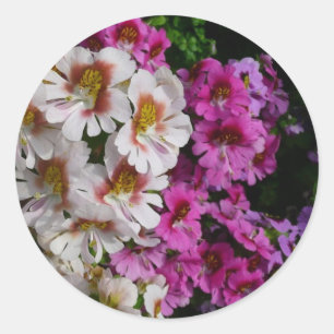 Schmetterlingsfliege Blume Weißrosa und Lila Runder Aufkleber