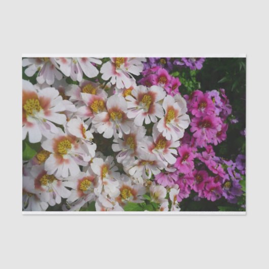 Schmetterlingsfliege Blume Weißrosa und Lila Seidenpapier (Vorderseite)