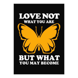 Schmetterlingsfliege-Liebe Fotodruck