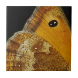 Schmetterlingsfliesen Fliese