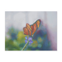 Schmetterlingsflüge Postkarte