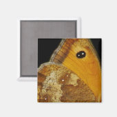 Schmetterlingsflügel Magnet (Vorderseite/Rückseite)