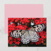 Schmetterlingsflügel Postkarte (Vorne/Hinten)