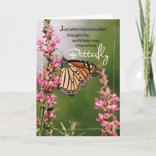 Schmetterlingsförderung Karte (Vorderseite)