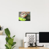 Schmetterlingsfoto Nah Poster (Heimbüro)