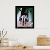 Schmetterlingsfoto Poster (Küche)