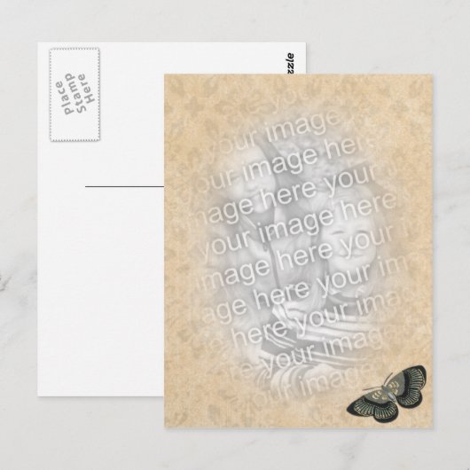 Schmetterlingsfoto Postkarte (Vorne/Hinten)