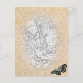 Schmetterlingsfoto Postkarte