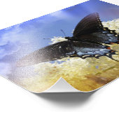 Schmetterlingsfreiheit Fotodruck (Ecke)