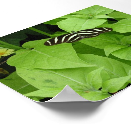 Schmetterlingsgarten 6 poster (Ecke)