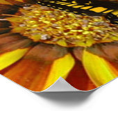 Schmetterlingsgarten Poster (Ecke)