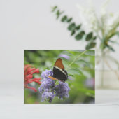 Schmetterlingsgarten Postkarte (Stehend Vorderseite)