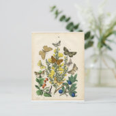 Schmetterlingsgarten Postkarte (Stehend Vorderseite)