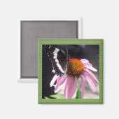 Schmetterlingsgeschäft Magnet (Vorderseite/Rückseite)