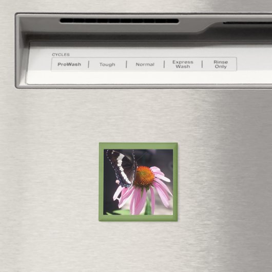 Schmetterlingsgeschäft Magnet (In Situ (Geschirrspüler))