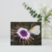 Schmetterlingsgeschenke Postkarte (Stehend Vorderseite)