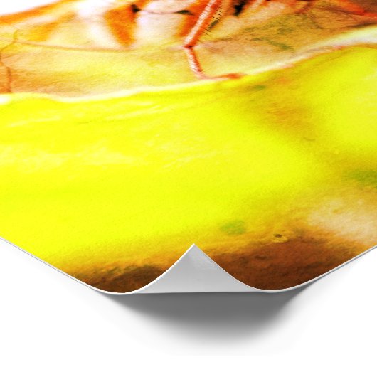 Schmetterlingsgesicht Nah in beängstigender Kunst Poster (Ecke)