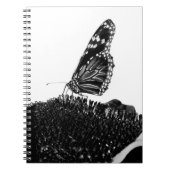 Schmetterlingsherz Notizblock (Vorderseite)