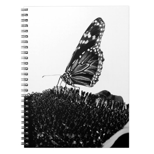 Schmetterlingsherz Notizblock (Vorderseite)