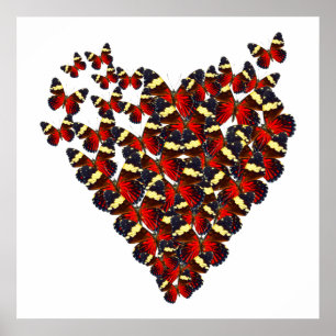 Schmetterlingsherz Poster