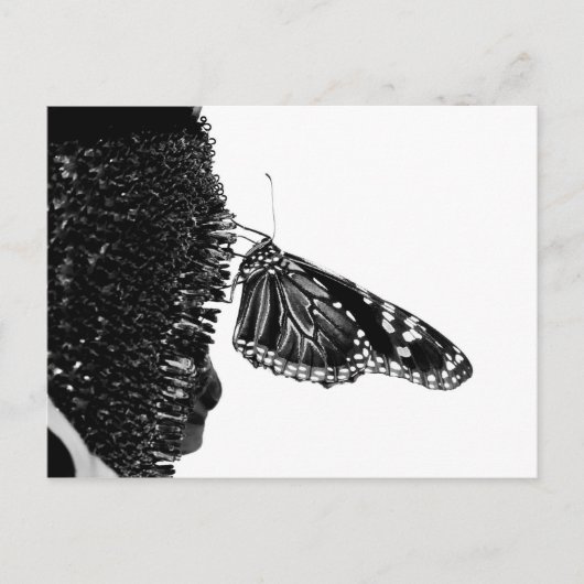Schmetterlingsherz Postkarte (Vorderseite)