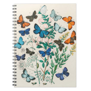 Schmetterlingsillustrationen Notizblock