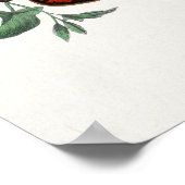 Schmetterlingsillustrationsposter Poster (Ecke)