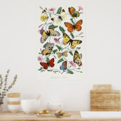 Schmetterlingsillustrationsposter Poster (Küche)