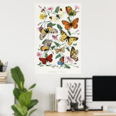 Schmetterlingsillustrationsposter Poster (Heimbüro)