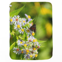 Schmetterlingsinsekt