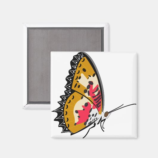 Schmetterlingsinsekt Magnet (Vorderseite/Rückseite)