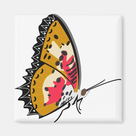 Schmetterlingsinsekt Magnet (Vorne)