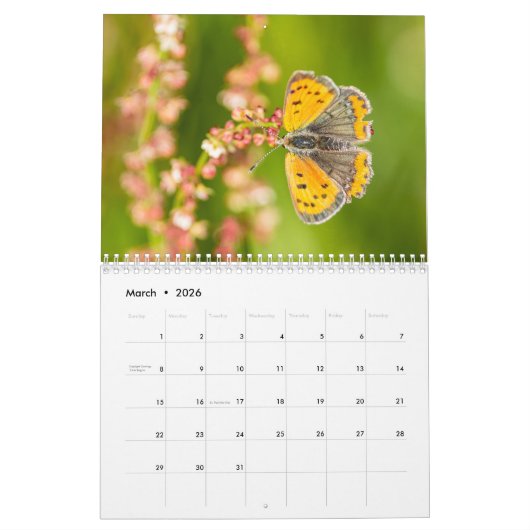 Schmetterlingskalender 2018 kalender (Mär 2026)