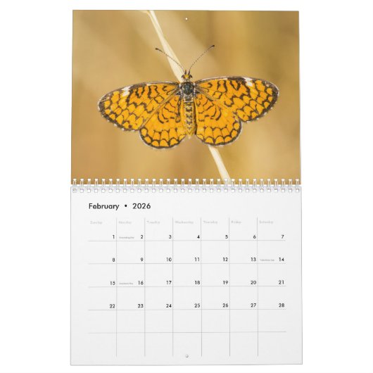 Schmetterlingskalender 2018 kalender (Feb 2026)