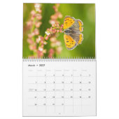 Schmetterlingskalender 2018 kalender (Mär 2027)