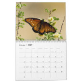 Schmetterlingskalender 2018 kalender (Jan 2027)