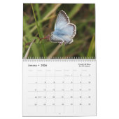 Schmetterlingskalender 2018 kalender (Jan 2026)