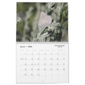 Schmetterlingskalender 2018 kalender (Mär 2026)