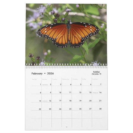 Schmetterlingskalender 2018 kalender (Feb 2026)